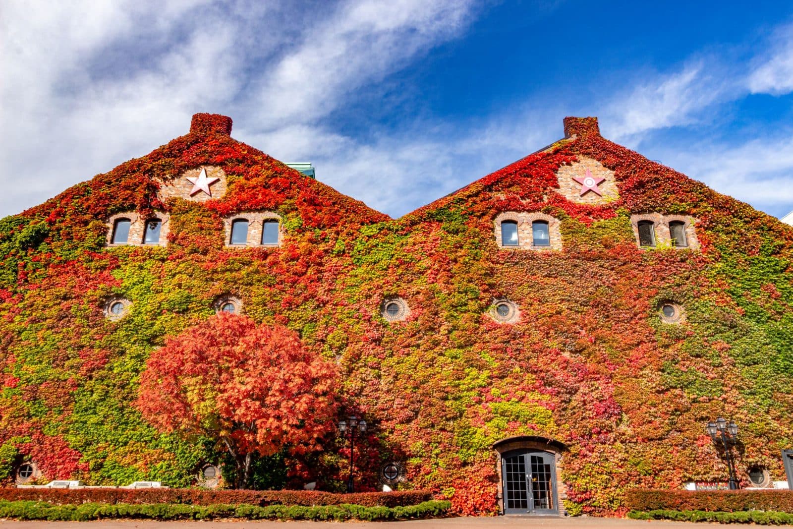 バスセンター前エリアの街並み