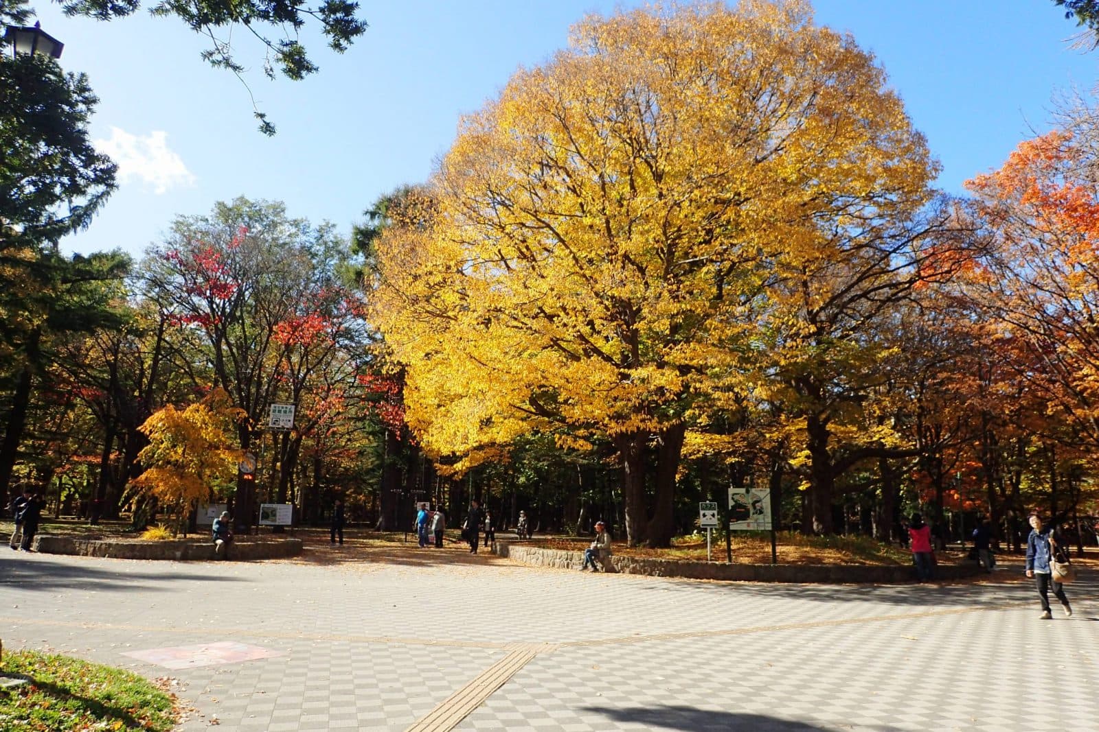円山エリアの街並み