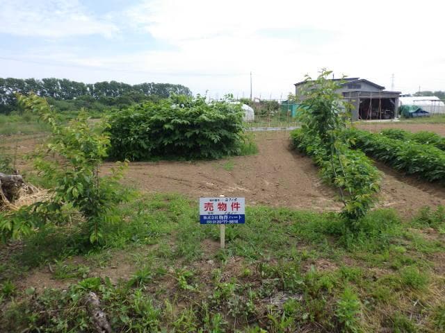 北海道札幌市北区篠路町上篠路(土地・-・220万円)の外観・室内写真