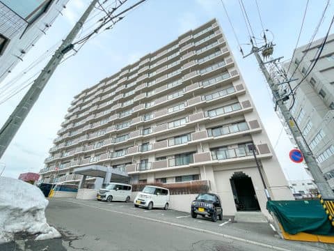 ロイヤルシャトー白石本通 706号室(中古マンション・3LDK+TR・2,490万円)の外観・室内写真